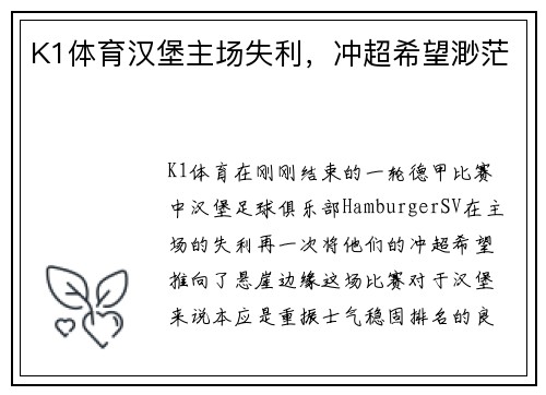 K1体育汉堡主场失利，冲超希望渺茫